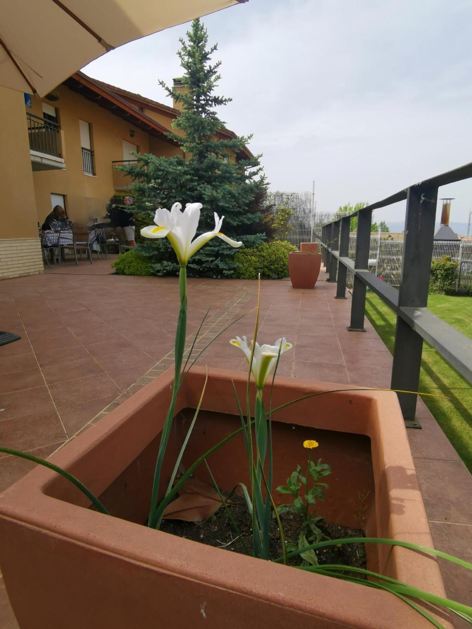 Con Jardin Entre Golf Y Monte - Cerca Logrono Ferienhaus *